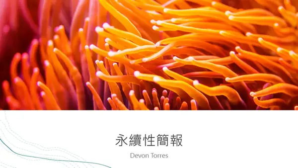 海洋風簡報 organic-simple