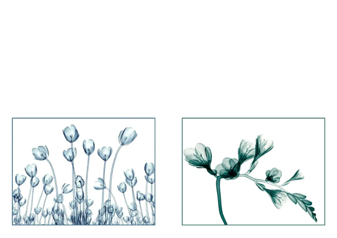 花卉願景賀卡 (10 張卡片，每頁 2 張) blue organic-simple