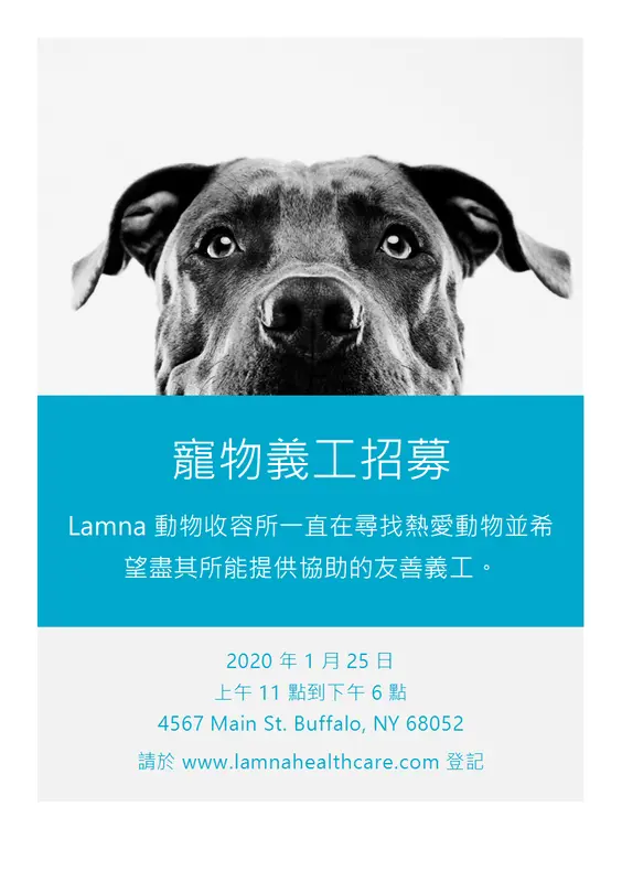 寵物義工招募傳單 modern-simple