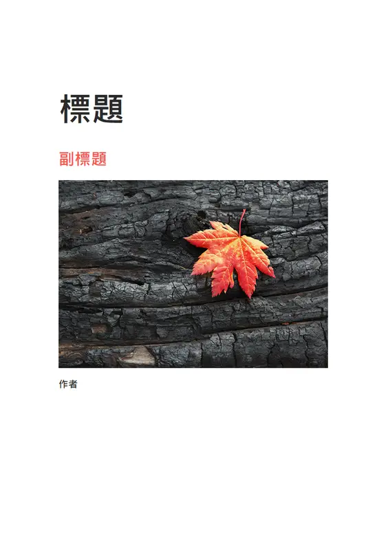 含封面和目錄的報告 modern simple