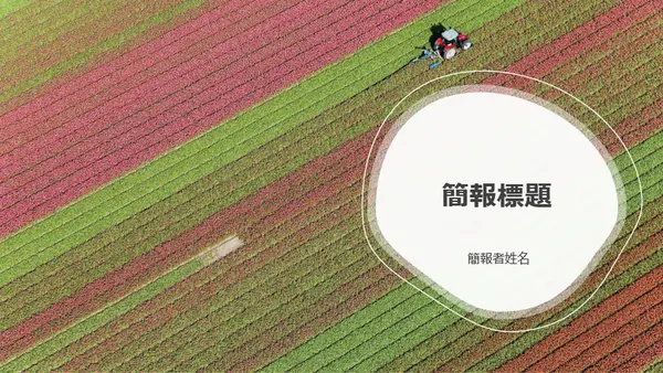草圖線設計 organic-simple